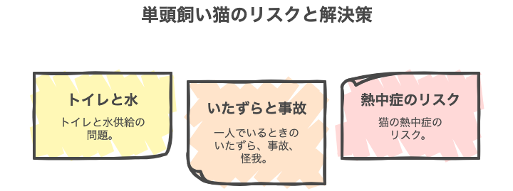 単頭飼い猫のリスクと解決策