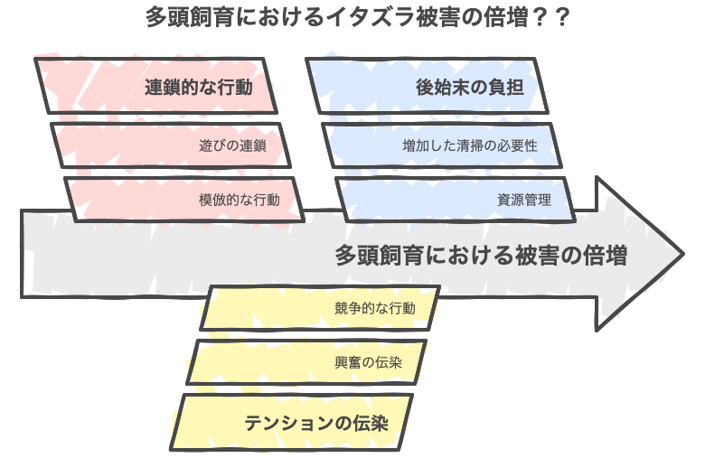 多頭飼育におけるイタズラ被害の倍増？？