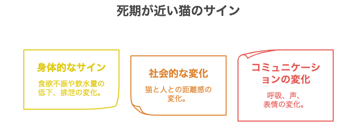 死期が近い猫のサイン