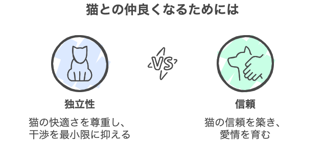 猫との仲良くなるためには