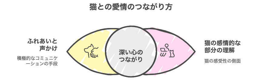 猫との愛情のつながり方