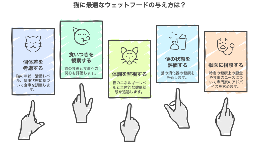 猫に最適なウェットフードの与え方は？