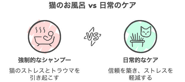 猫のお風呂 vs 日常のケア