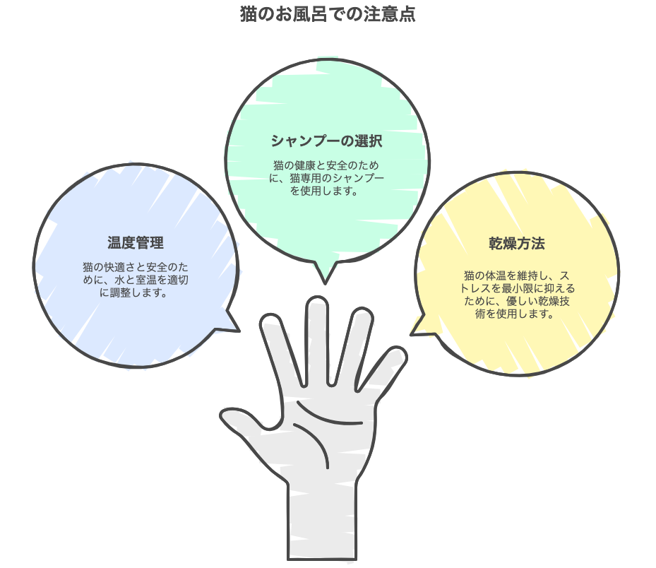 猫のお風呂での注意点
