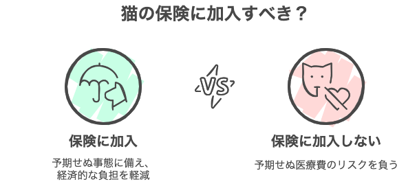 猫の保険に加入すべき？
