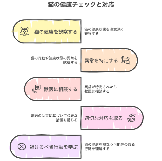 猫の健康チェックと対応