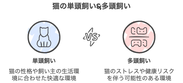 猫の単頭飼い&多頭飼い