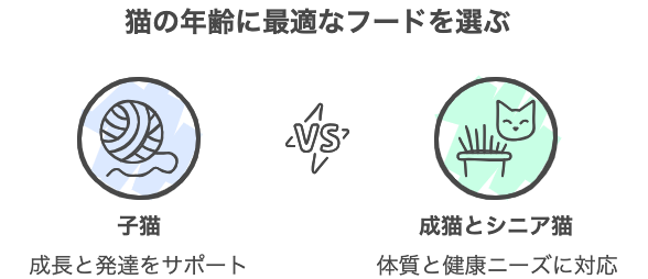 猫の年齢に最適なフードを選ぶ