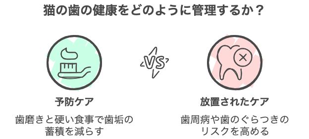 猫の歯の健康をどのように管理するか？