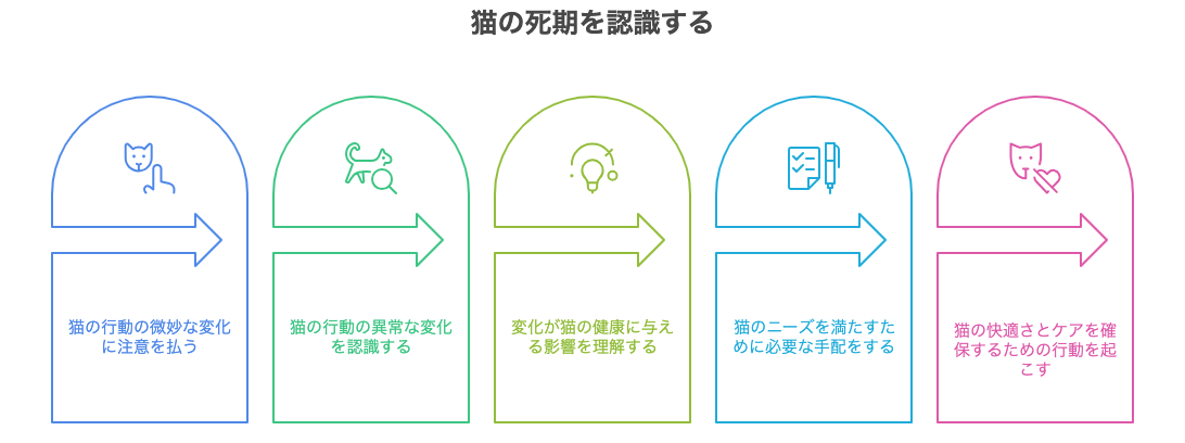 猫の死期を認識する