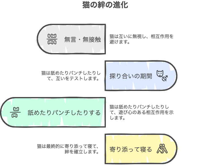 猫の絆の進化