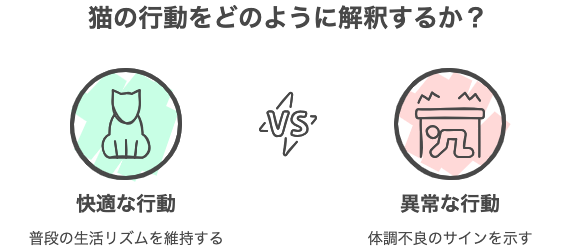 猫の行動をどのように解釈するか？