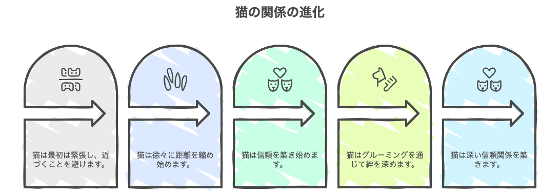 猫の関係の進化