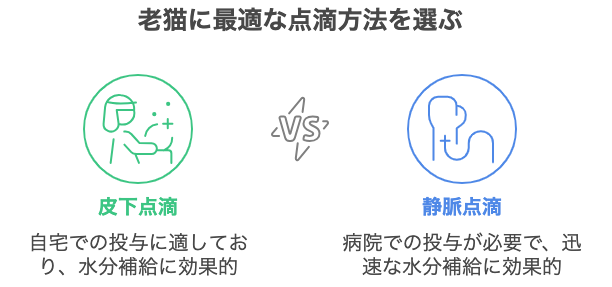 老猫に最適な点滴方法を選ぶ