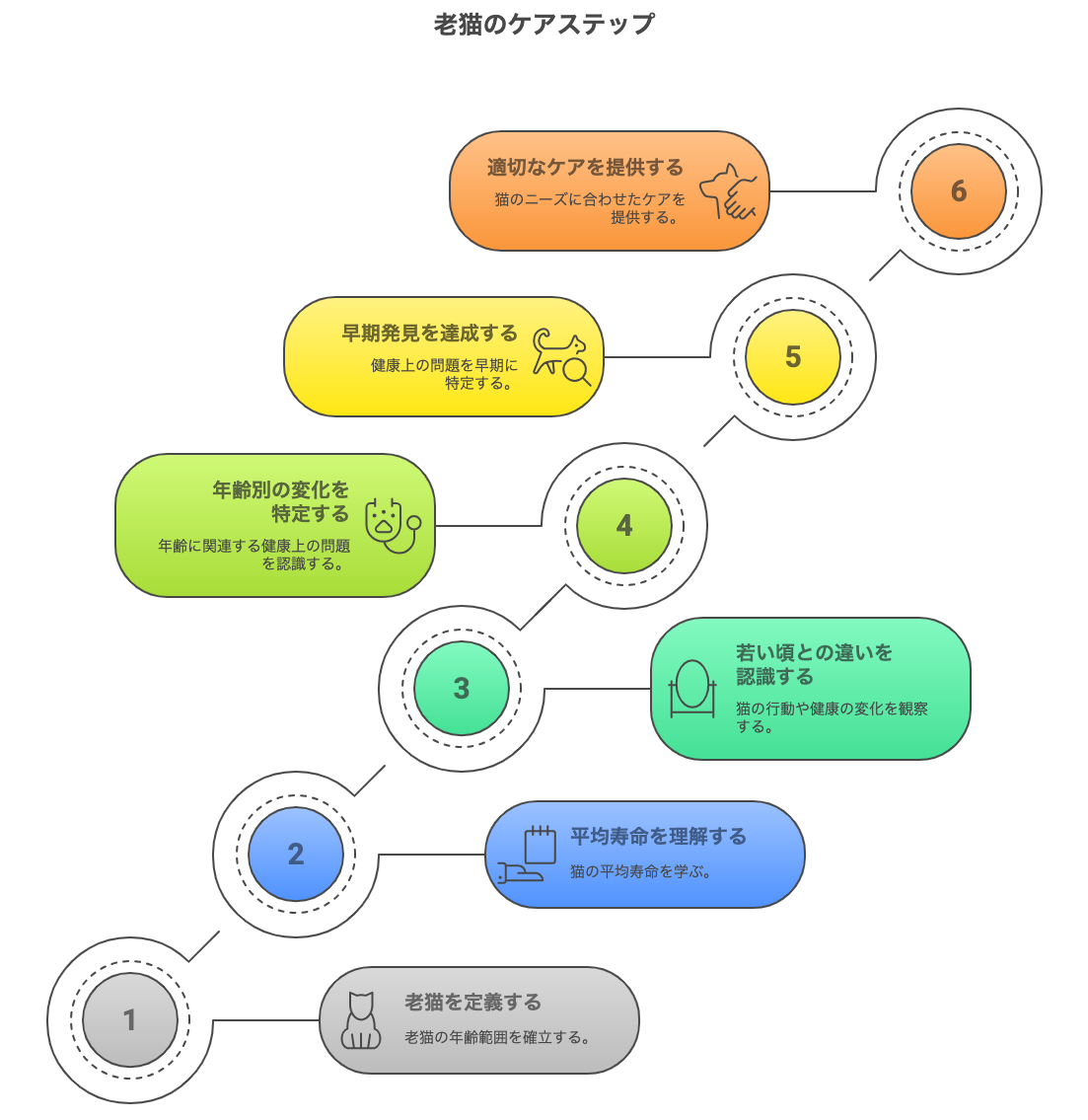 老猫のケアステップ