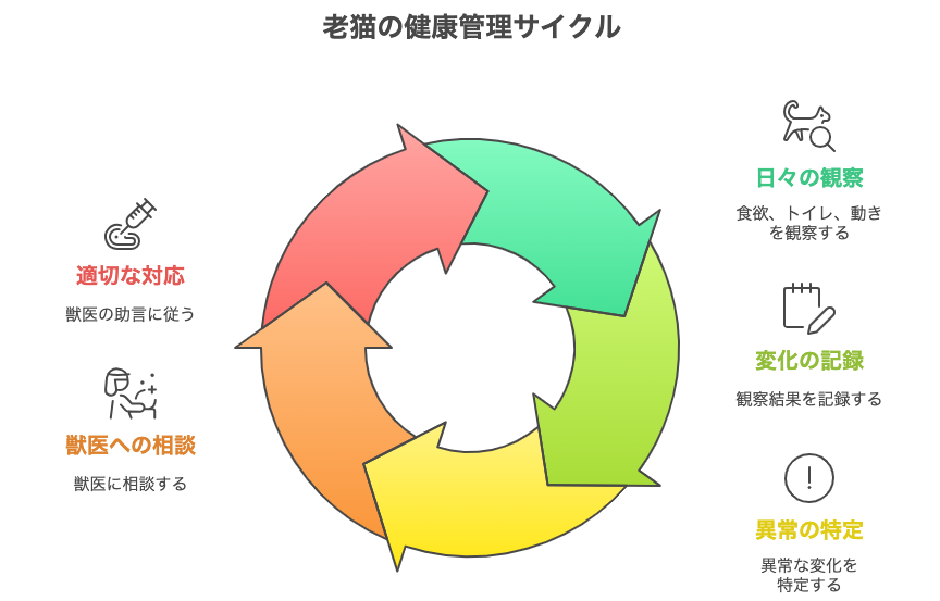 老猫の健康管理サイクル