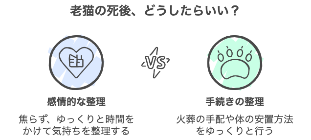老猫の死後、どうしたらいい？