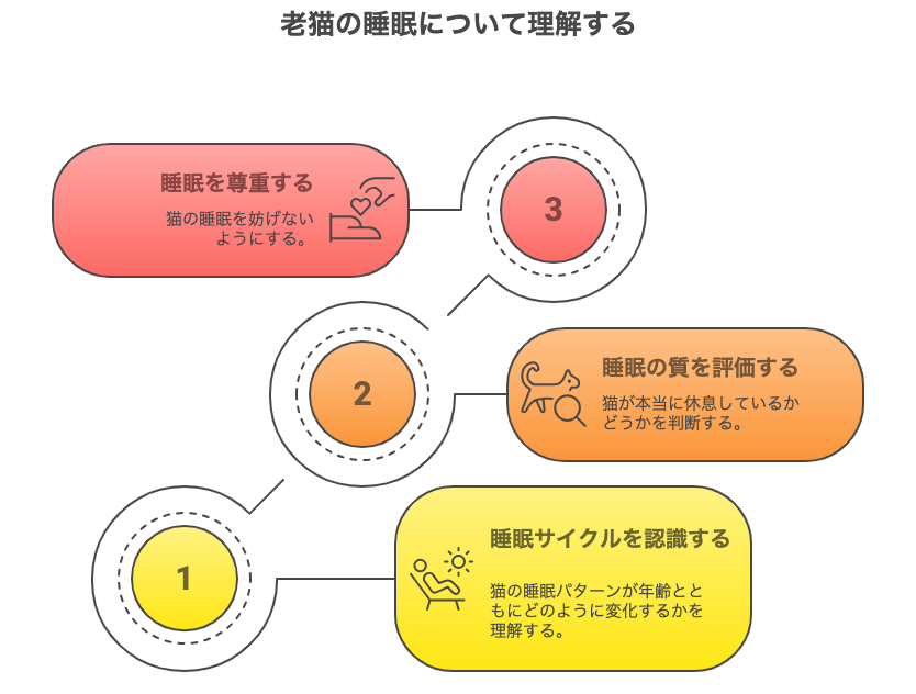 老猫の睡眠について理解する