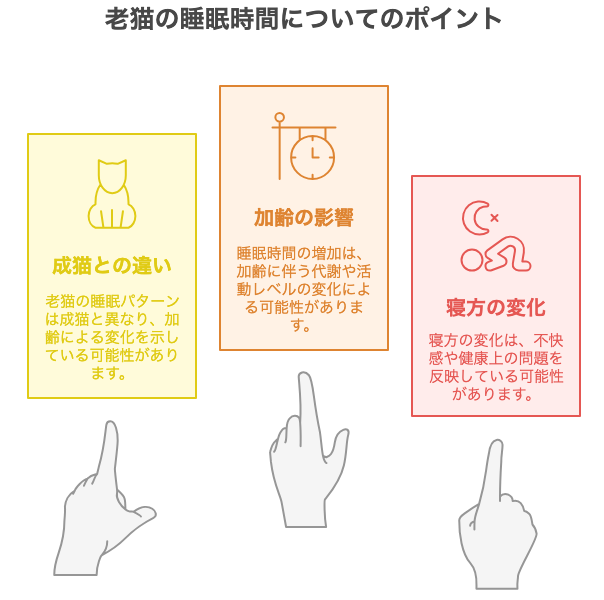 老猫の睡眠時間についてのポイント
