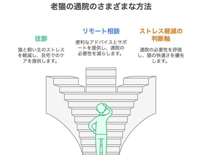 老猫の通院のさまざまな方法
