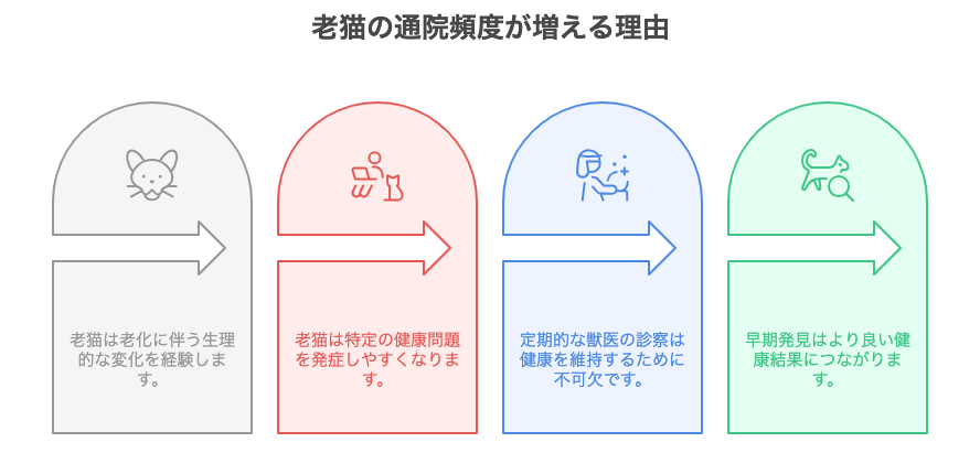老猫の通院頻度が増える理由